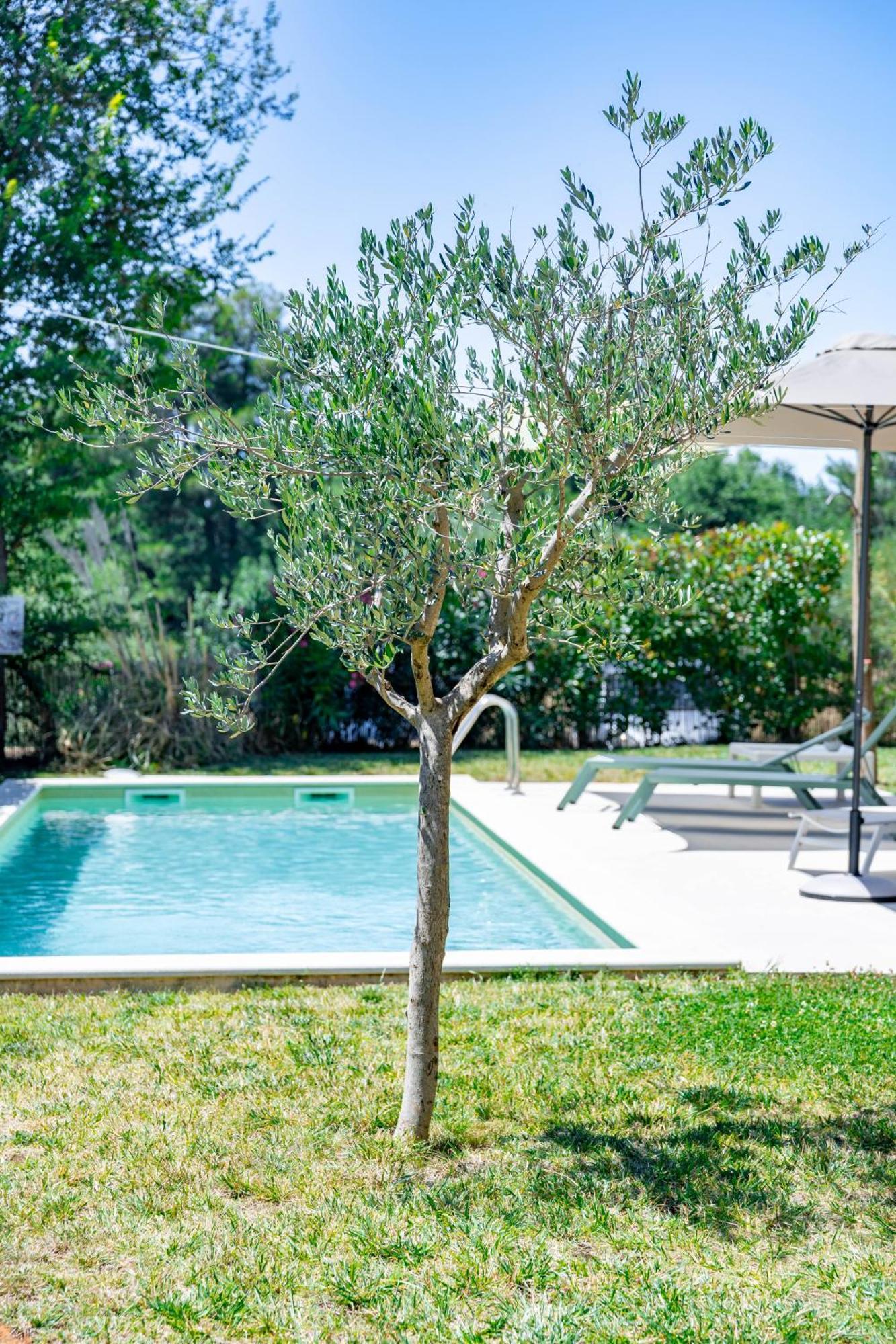 Villa Zen - With Pool & Close To The Sea Tar-Vabriga Екстериор снимка